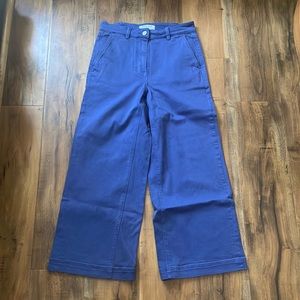 Everlane Blue Wide Leg Pants